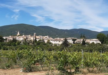 Trail Walking Cadenet - Cadenet Lourmarin en boucle - Photo