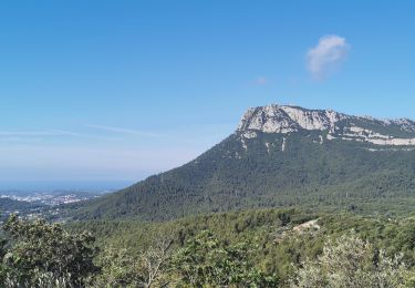 Trail Walking La Farlède - De La farlède au plateau de Mourras - Photo