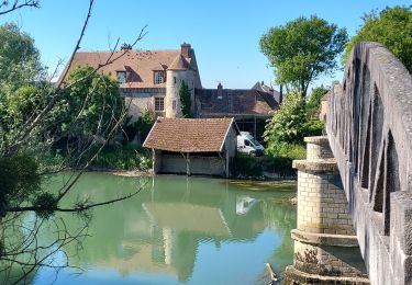 Percorso Bici da strada Nogent-sur-Seine - EXT65 Nogent sur Seine-01 - Photo