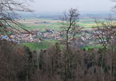 Randonnée Marche Kœstlach - Rando Koestlach...