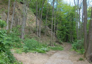 Percorso A piedi Rochlitz - Wanderweg Rochlitz – Schwarzbach – Colditz - Photo