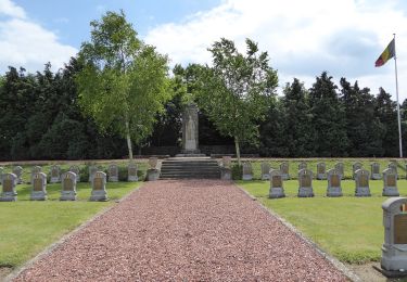 Randonnée A pied Tirlemont - Het oorlogsleven herbeleven - Photo