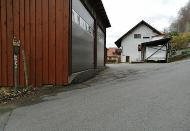 Trail On foot Oberzent - Rundwanderweg Sparkasse Odenwaldkreis 6: Burg-Freienstein-Weg - Photo