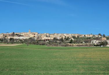 Trail Walking Puimoisson - 2024-03-12 Puimoisson Aventure - Photo