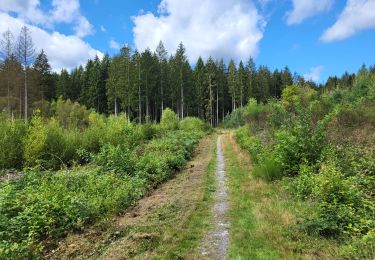 Randonnée Marche Viroinval - Oignies en Thiérache 150823 - Photo