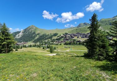 Randonnée Marche La Plagne-Tarentaise - Plagne Village Belle Plagne Mont St Jacques  - Photo