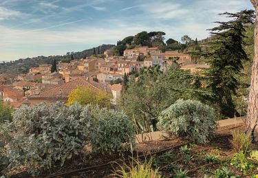 Randonnée Marche Bormes-les-Mimosas - ND de Constance, Bormes les Mimosas, 26-01-24  - Photo