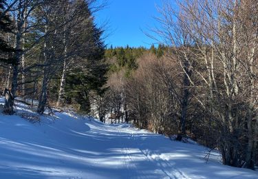 Tour Wandern Pont de Montvert - Sud Mont Lozère - Le Pic Cassini - Photo