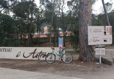 Trail Mountain bike Draguignan - 20220308 vtt route - Photo