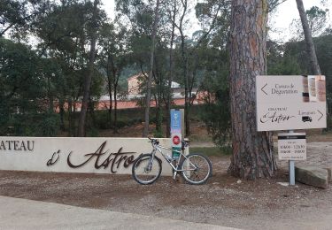 Excursión Bici de montaña Draguignan - 20220308 vtt route - Photo