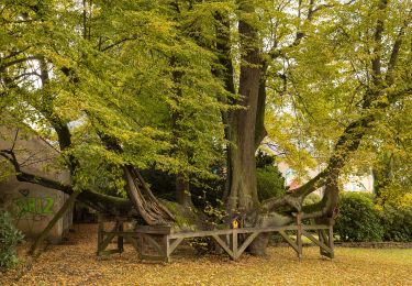 Tour Zu Fuß Wolkenstein - Ww Annaberg-Wiesa-Neundorf-HP Warmbad - Photo