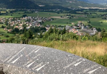 Trail Walking Dommartin-lès-Remiremont - Dommartin les Remiremont - Photo