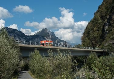 Excursión A pie Glarus Nord - Linthmündung - Mülital - Photo