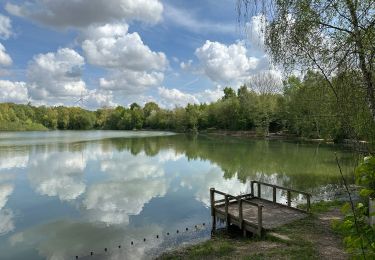 Trail Walking Gembloux - Cirkwi-Le_Bois_de_Grand-Leez - Photo