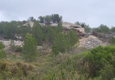 Randonnée Marche Martigues - Carro - Photo