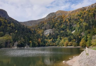 Tour Wandern Stoßweier - gascney 68 - Photo