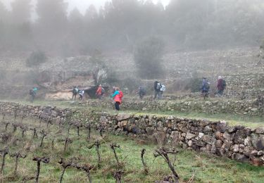 Percorso Marcia Ribes - Ribes-Saint André Lachamp-Le Coquou - Photo