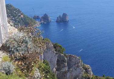 Randonnée A pied Anacapri - IT-390 - Photo