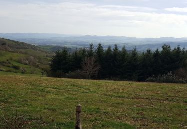 Trail Walking Ville-sur-Jarnioux - montmelas.vaux en beaujolais - Photo