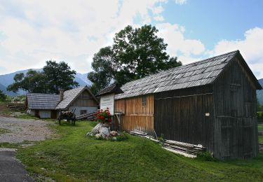 Excursión A pie Gemeinde Puchberg am Schneeberg - Puchberg Nordic Walking - Photo