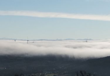 Trail Walking Talencieux - talencieux - Photo