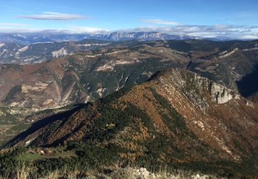 Trail Walking Chastel-Arnaud - montagne de Farraud - Photo