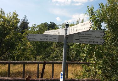 Randonnée A pied Eschau - Roter Hase Rundwanderweg Eschau - Photo