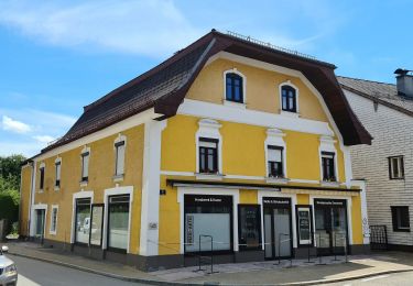 Tour Zu Fuß Thalgau - Mooswirt Rundweg - Photo