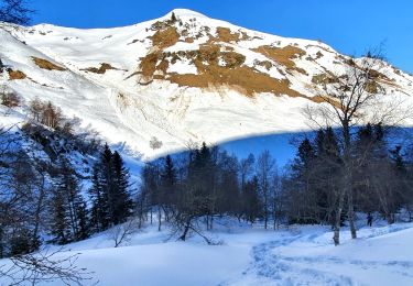 Tour Wandern Bourg-d'Oueil - Pic du Lyon & Cabane de Fousserette - Photo