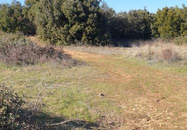 Trail Walking Vauvenargues - vauvenargues - Photo