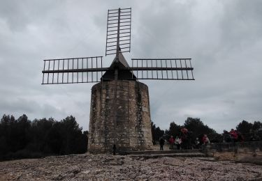 Randonnée Marche Fontvieille - fontvieille 13 - Photo