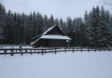 Trail On foot Skořice - [M] Hořejší Padrťský rybník - Pod Hubertkou - Photo