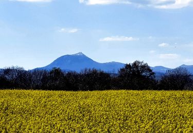 Trail Walking Les Martres-de-Veyre - Corent_Plateau - Photo
