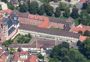 Tour Zu Fuß Amorbach - Rundwanderweg Amorbach Beuchner Berg 2: Kapellen-Weg - Photo