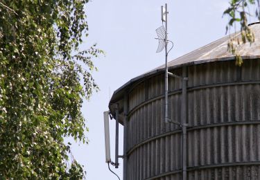 Tour Zu Fuß Höchst im Odenwald - Rundwanderweg Hassenroth 2 : Junkerwald-Weg - Photo