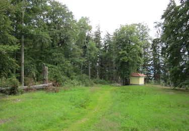 Tour Zu Fuß Věšín - [Ž] Varta - Třemšín - Photo