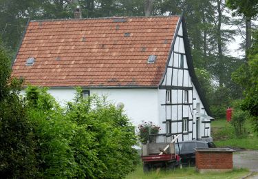 Trail On foot Heiligenhaus - Isenbügel Rundweg A3 - Photo