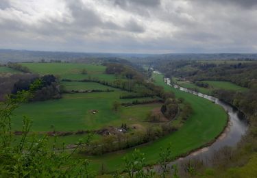 Randonnée Marche Esneux - Esneux  - Photo