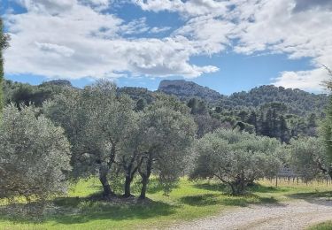 Randonnée Marche Saint-Rémy-de-Provence - PF-Saint Rémy de Provence - Lac du Peiroou -  La Caume - RECO - Photo