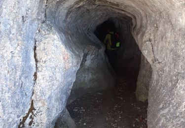 Tocht Stappen Brison-Saint-Innocent - GROTTE AUX FEES-G2-19-09-22 - Photo