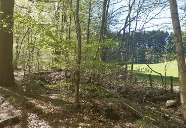 Trail Walking Spa - spa de la ville a la fagne - Photo