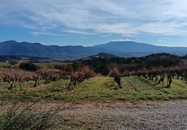 Excursión Senderismo Vinsobres - bornes papales au départ de vinsobre  - Photo