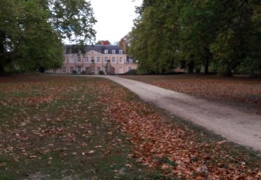 Trail Walking La Marolle-en-Sologne - La Marolle en Sologne_ villeny_20181007 - Photo