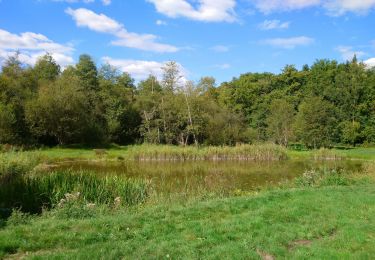 Excursión Senderismo Mazières-de-Touraine - Mazières-de-Touraine - Ruisseau du Breuil - 17.3km 200m 4h20 - 2020 09 09 - Photo