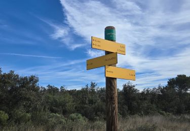 Tour Wandern Valliguières - essai  - Photo