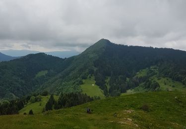 Trail Walking La Pesse - La Pesse chalam merle nerbier - Photo