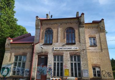 Percorso A piedi Podlesie - Szlak zielony - Photo