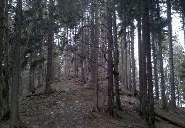 Trail On foot Miesbach - Wanderweg 570 - Miesbach/Irschenberg - Photo