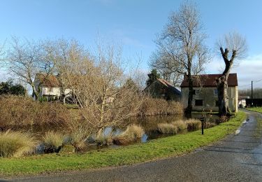Trail Walking Dhuys et Morin-en-Brie - Fontenelle-en-Brie - Photo