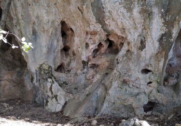 Trail Walking Vallon-Pont-d'Arc - Grottes du rocher de la Mathe - Photo